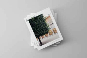 gallery-img4